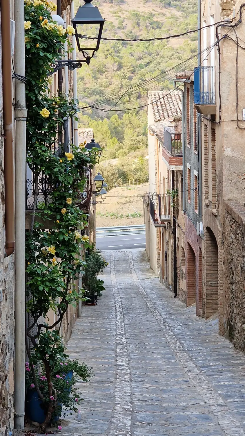 Casa Rural Priorat 