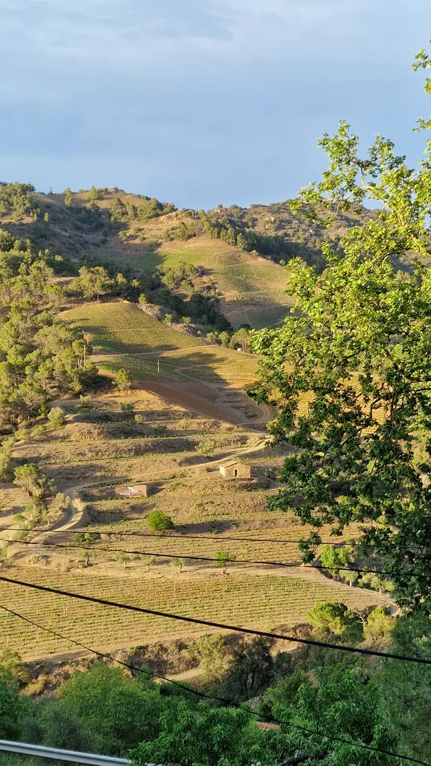 Torroja del Priorat